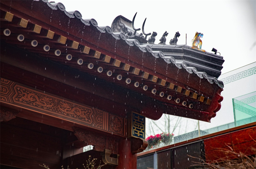 WechatIMG4.jpg WechatIMG4.jpg