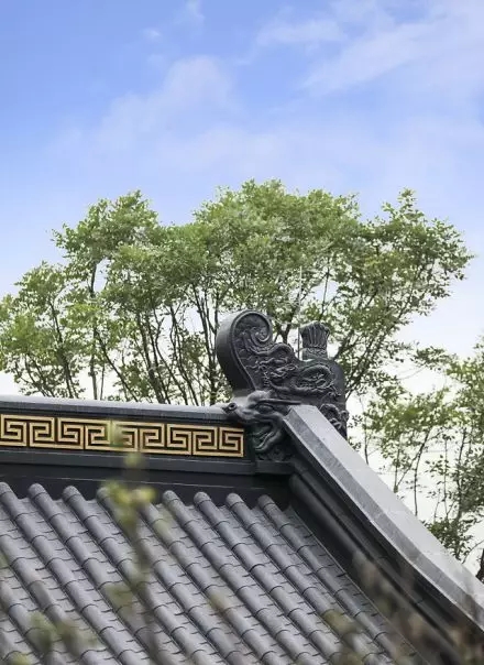 28.webp.jpg 28.webp.jpg