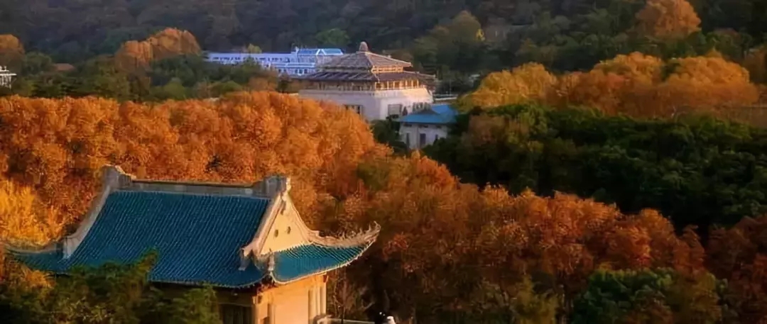 4.webp.jpg 4.webp.jpg