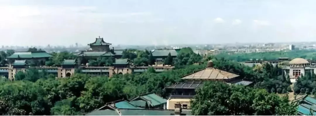 3.webp.jpg 3.webp.jpg