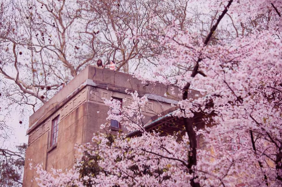 1.webp.jpg 1.webp.jpg