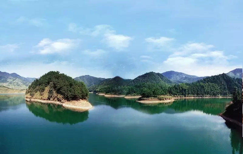 5.webp.jpg 5.webp.jpg